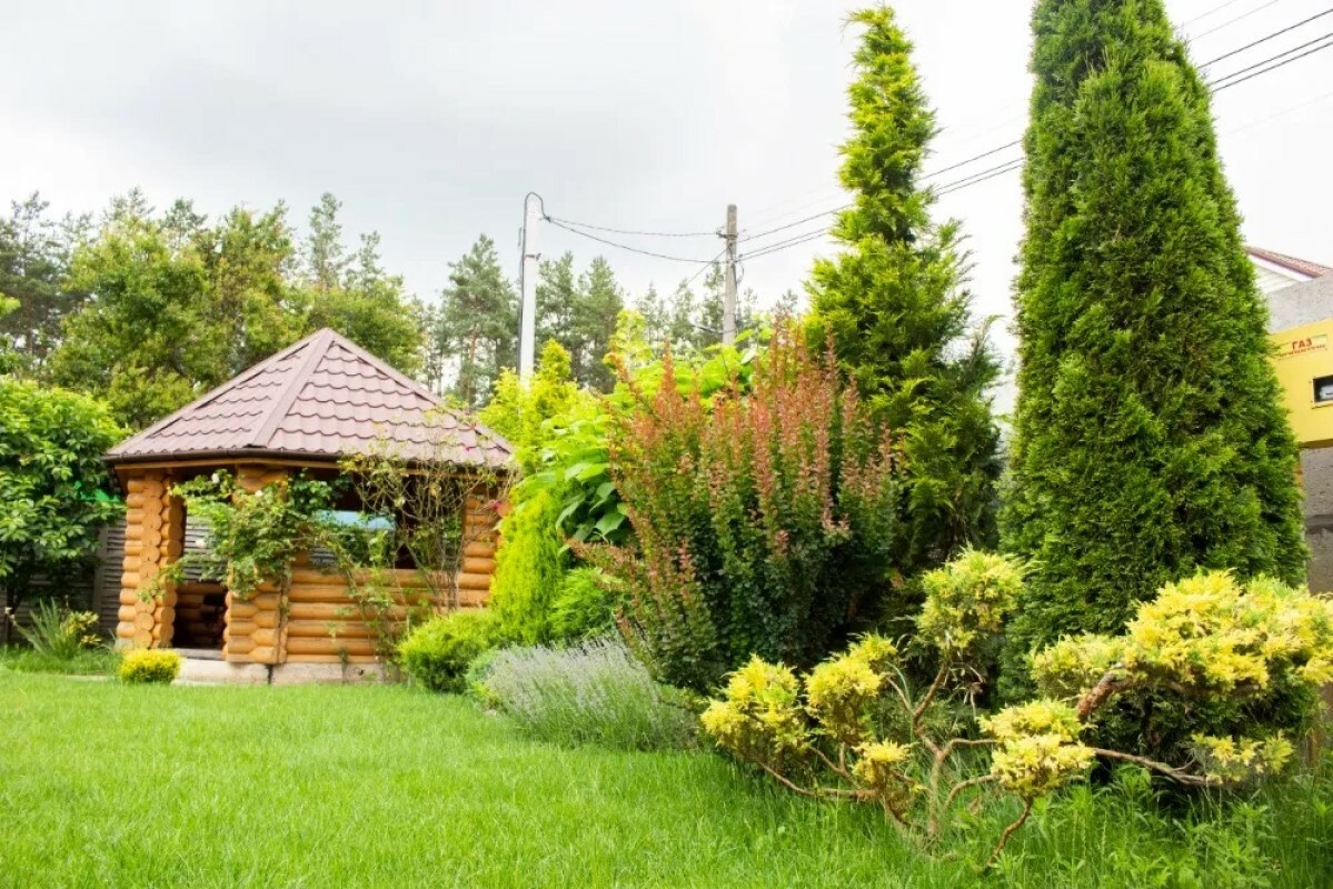 https://kursk.tgv-stroy.ru/storage/app/uploads/public/637/ef4/fb3/637ef4fb3605f391429275.png